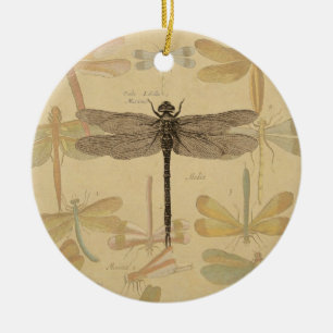 Ornement En Céramique Dragonfly Vintage Antique Classic Nature