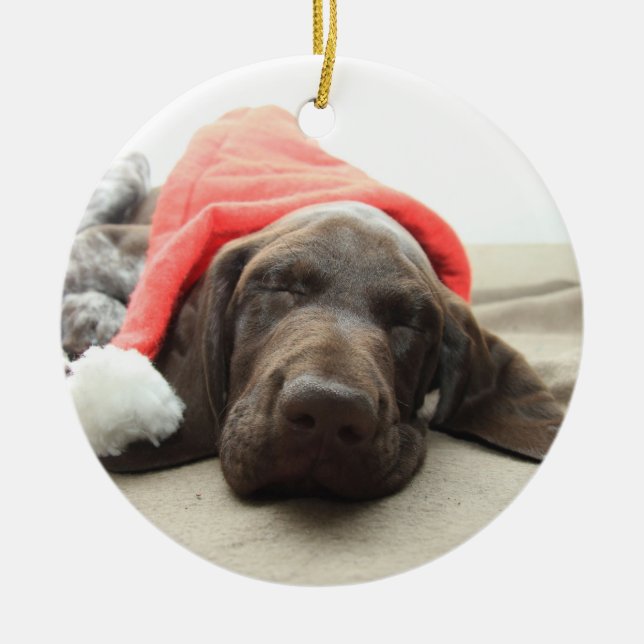 Ornement En Céramique Dreaming of Santa - German Shorthair Puppy (Devant)