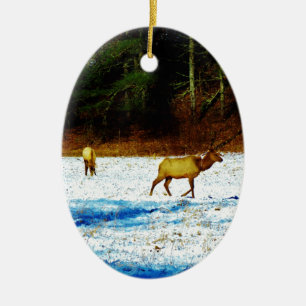 ORNEMENT EN CÉRAMIQUE DSC00131.JPG