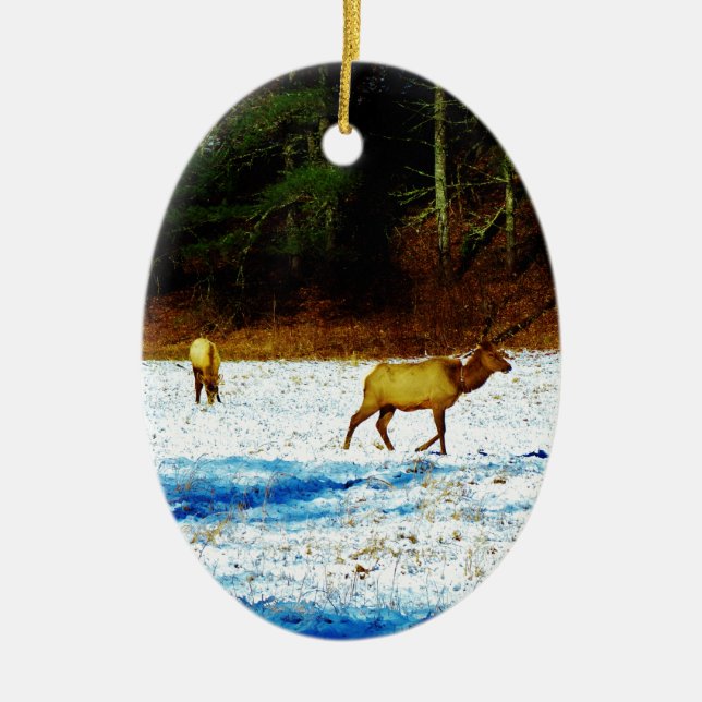 ORNEMENT EN CÉRAMIQUE DSC00131.JPG (Devant)