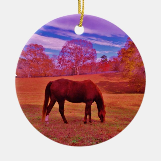 ORNEMENT EN CÉRAMIQUE DSCF0536.JPG (Devant)