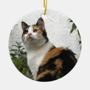 Ornement En Céramique Écaille et chat blanc