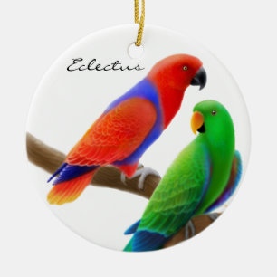 Ornement En Céramique Eclectus Parrots l'ornement