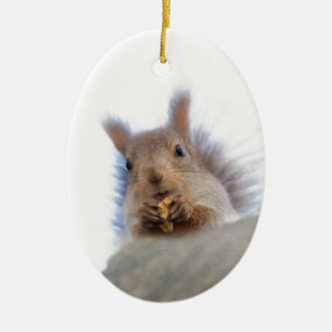 Ornement En Céramique Écureuil à la noix