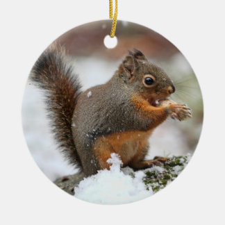 Ornement En Céramique Écureuil mignon dans la photo de neige