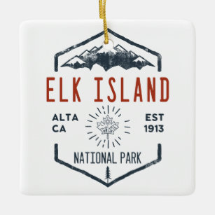 Ornement En Céramique Elk Island National Park Canada Vintage Distressed