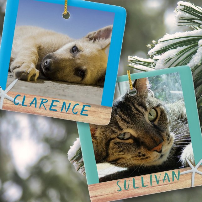 Ornement en céramique en forme d'étoile de mer ave (Créateur téléchargé)