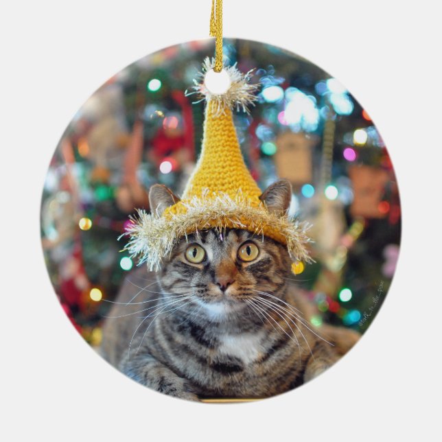 Ornement En Céramique Entretien à l'ornement 2015 de Noël de patte (Dos)