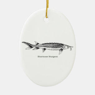 Ornement En Céramique Esturgeon de Shortnose