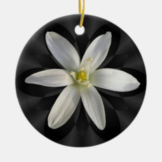 Ornement En Céramique Étoile d'ornement de ~ de fleur de Bethlehem