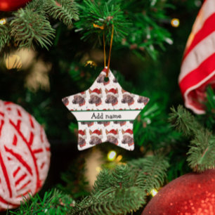 Ornement En Céramique Étoiles de Noël de la race de chien nu mexicain