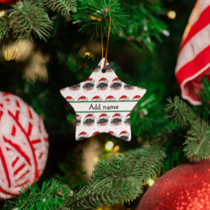 Ornement En Céramique Étoiles de Noël de la race de chien Pékinois