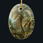 Ornement En Céramique Ferns Palm Tree Antiquité Botanique Ferns Art<br><div class="desc">Impression botanique vintage de fougères tropicales Cette impression est de Filicinae (Ferns), d'Ernst Haeckel tirée d'un livre botanique antique de 1904. L'ancienne estampe botanique est la 92ème plaque de Kunstformen der Natur (Art Forms of Nature), qui présente des fougères élaborées. La 92ème assiette de "Kunstformen der Natur" d'Ernst Haeckel représente...</div>