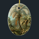 Ornement En Céramique Ferns Palm Tree Antiquité Botanique Ferns Art<br><div class="desc">Impression botanique vintage de fougères tropicales Cette impression est de Filicinae (Ferns), d'Ernst Haeckel tirée d'un livre botanique antique de 1904. L'ancienne estampe botanique est la 92ème plaque de Kunstformen der Natur (Art Forms of Nature), qui présente des fougères élaborées. La 92ème assiette de "Kunstformen der Natur" d'Ernst Haeckel représente...</div>