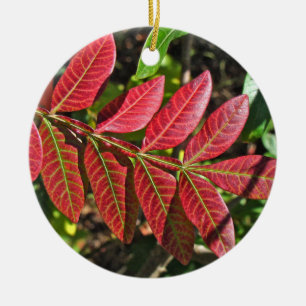 Ornement En Céramique Feuilles De Sumac À L'Automne