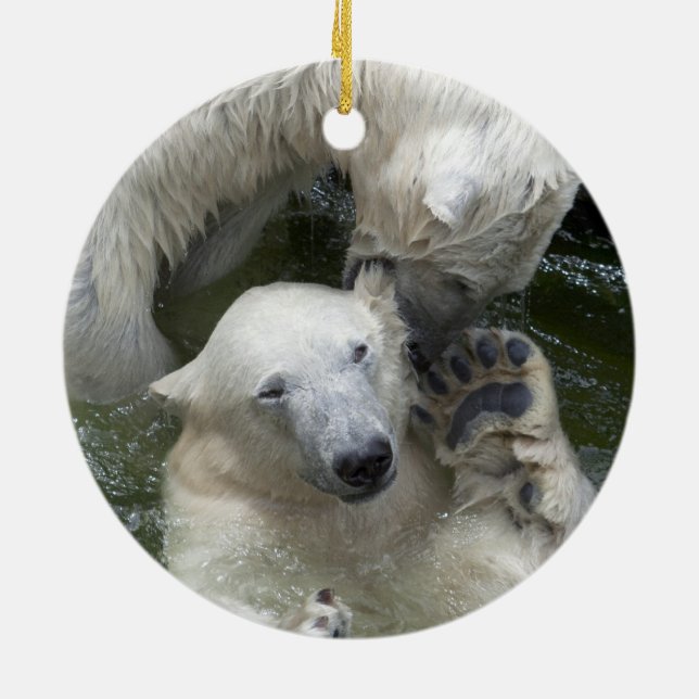 Ornement En Céramique Fighting Polar Bears (Dos)