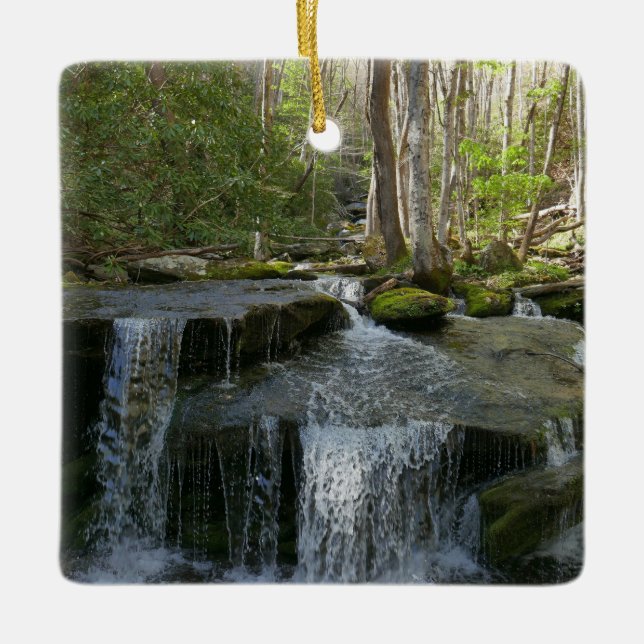 Ornement En Céramique Findlay Falls I (Devant)