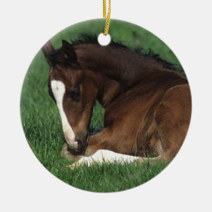 Ornement En Céramique Fixation de poulain de Warmblood