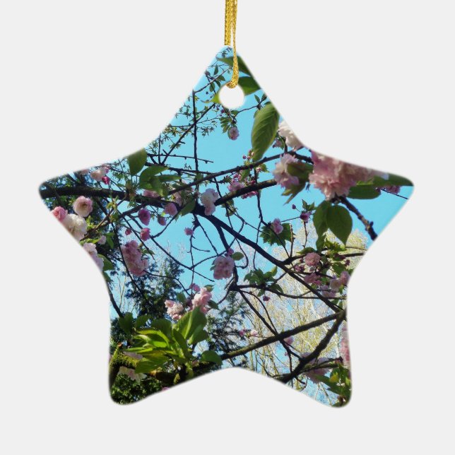 Ornement En Céramique Fleur, Fleur, Fleur, Nature (Dos)