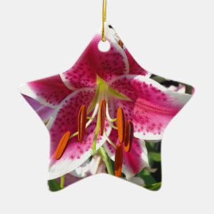 Ornement En Céramique Fleur rose rose rose rose fleur rose fleur tropica