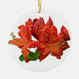 Ornement En Céramique Fleurs d'Azalée Orange