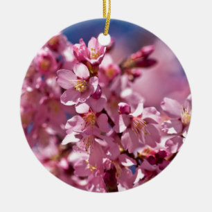 Ornement En Céramique Fleurs de cerisier Sakura embrassées par la lumièr