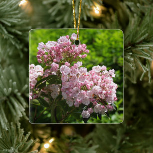 Ornement En Céramique Fleurs de laurier des montagnes roses