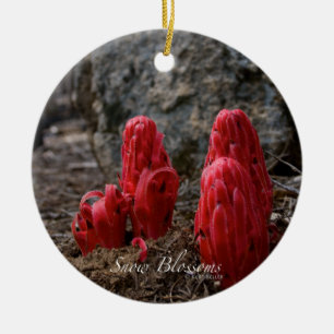 Ornement En Céramique Fleurs de neige