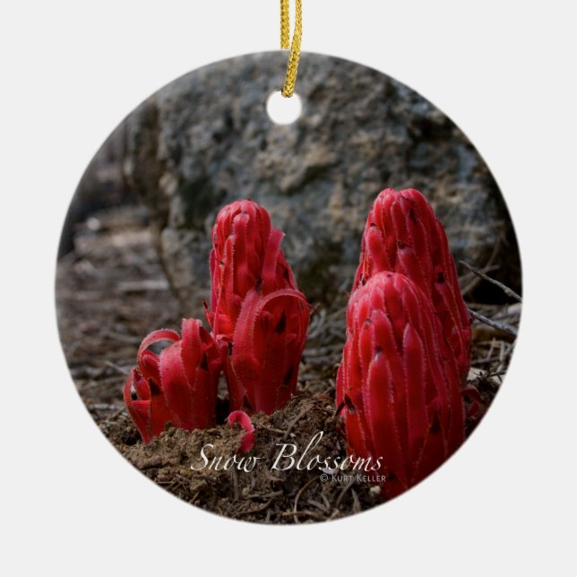 Ornement En Céramique Fleurs de neige (Devant)