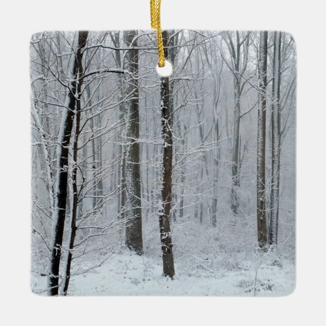 Ornement En Céramique Forêt de peupliers enneigée (Devant)