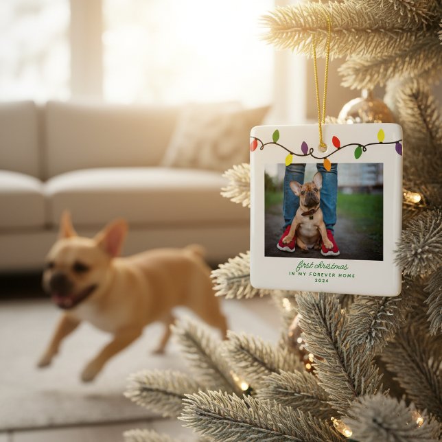 Ornement En Céramique Forever Accueil Premier Noël Animaux Secourus Phot (Forever Home First Christmas Pet Rescue Photo Ceramic Ornament)