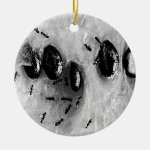 Ornement En Céramique fourmis de surf