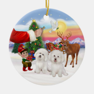 Ornement En Céramique Friandise pour deux Bichon Frise