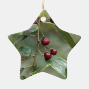 Ornement En Céramique Fruits d'un nerprun brillant de feuille