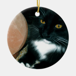 Ornement En Céramique Globe et chat de sel psychiques - photographie