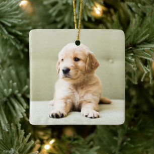 Ornement En Céramique Golden Retriever Puppy