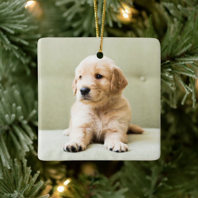 Ornement En Céramique Golden Retriever Puppy (Arbre)