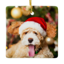 Goldendoodle ornament de Noël Pierre