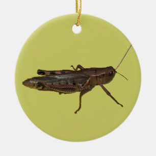 Ornement En Céramique Grasshopper Design