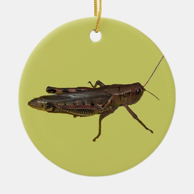 Ornement En Céramique Grasshopper Design (Devant)