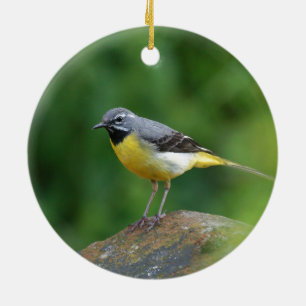Ornement En Céramique Gray Wagtail - oiseau