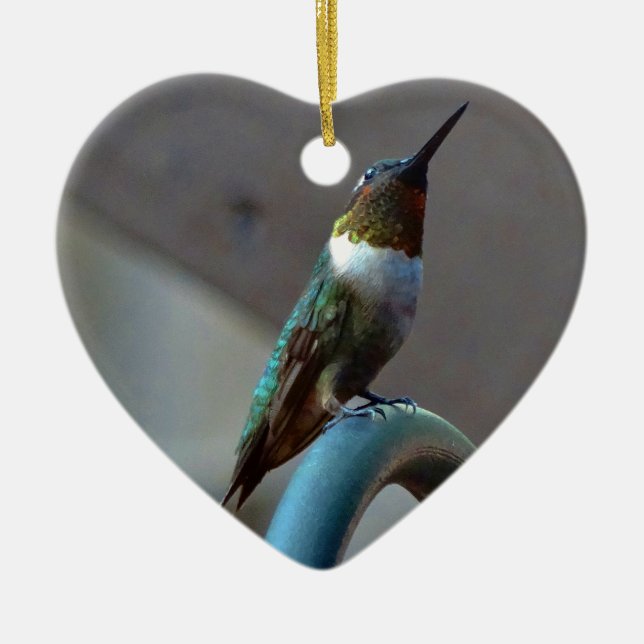 Ornement En Céramique Green ruby little hummingbird (Devant)
