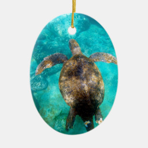 Ornement En Céramique Green sea turtle swimming underwater paradise