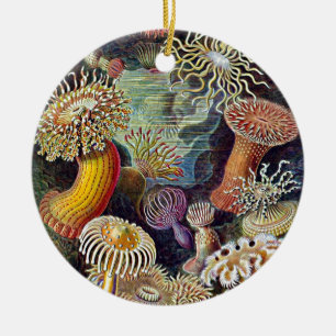 Ornement En Céramique Haeckel Sea Anemone Ocean Life Nature Art Peinture