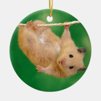 Ornement En Céramique hamster idiot