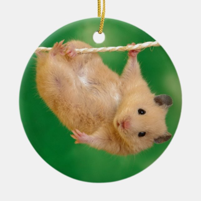 Ornement En Céramique hamster idiot (Devant)