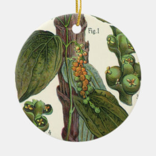 Ornement En Céramique Herbes alimentaires vintages épices, poivre noir P