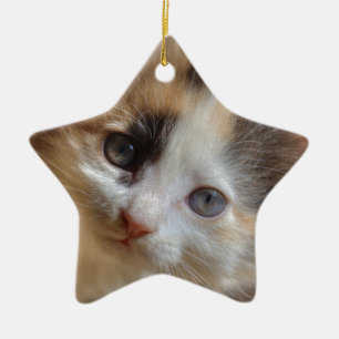 Ornement En Céramique Heterochromie Calico Kitten