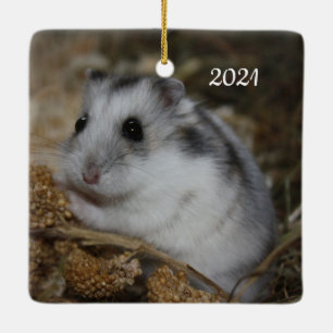 Ornement En Céramique Hiver White Nwarster Hamster Pet