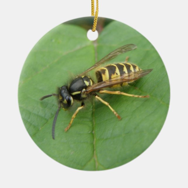 Ornement En Céramique Hoverfly on a Leaf Custom Birday (Devant)